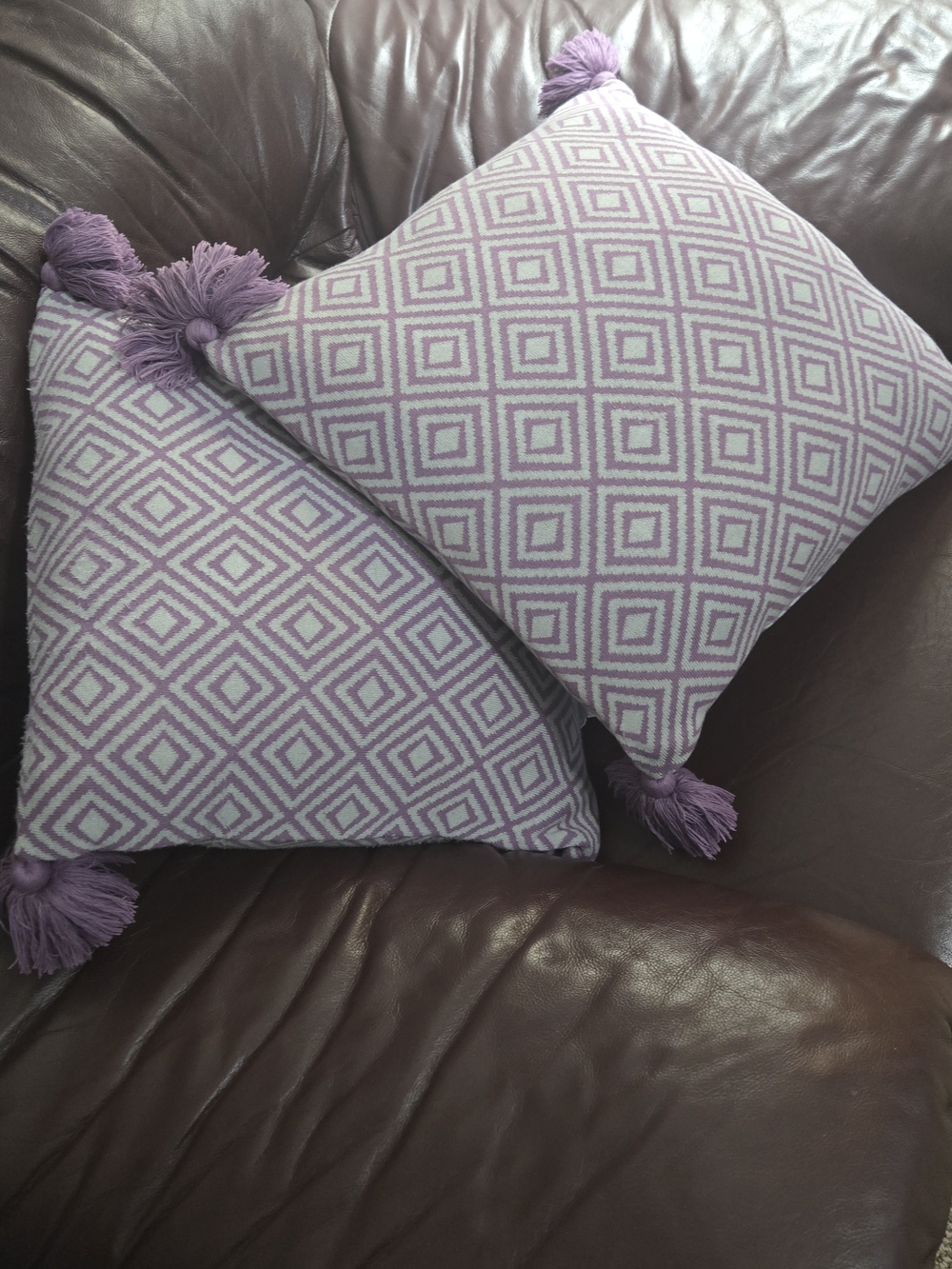 Set Of 2 Farm To Home Organic Cotton Throw Pillows With Tassels Purple 18 X 18